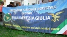 fotogramma del video Forestale: Zannier, Corpo regionale presidio essenziale del ...